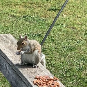 Meet your Posher, Steve